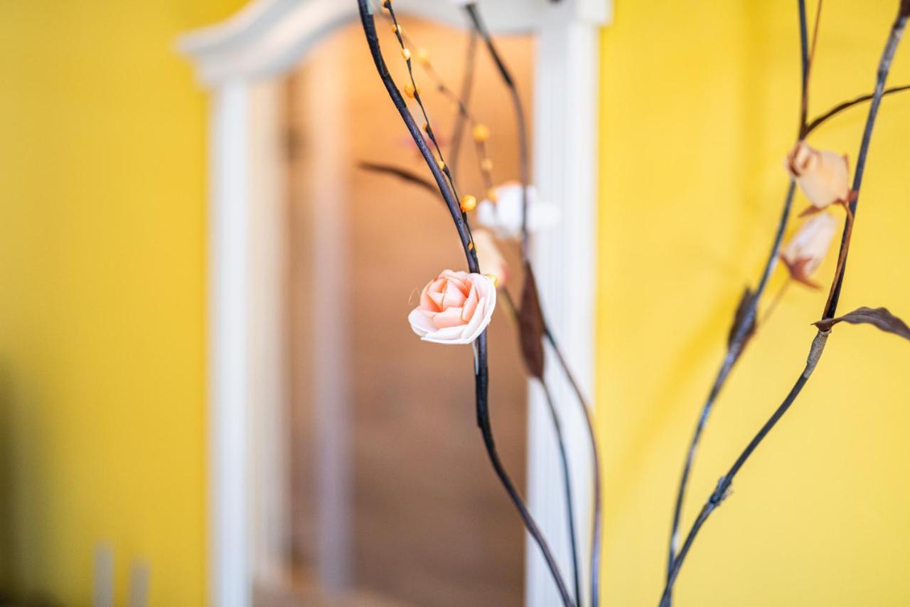Modern Studios - Meters Away From The Beach เปาโมเรีย ภายนอก รูปภาพ